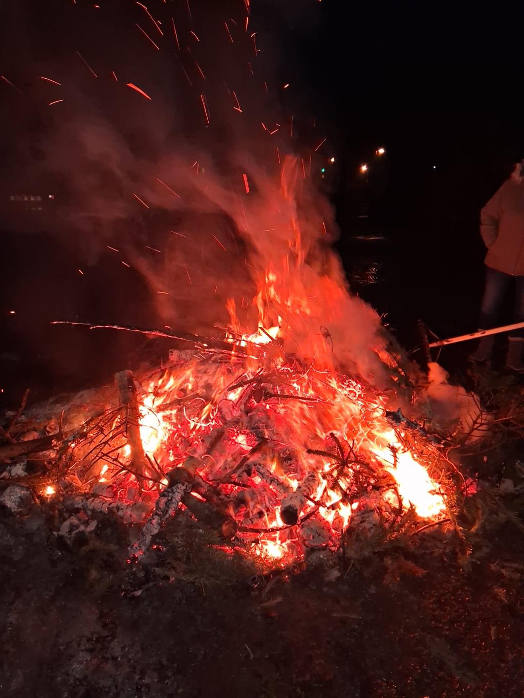 Weihnachtsbaumverbrennung_260117_04.jpg